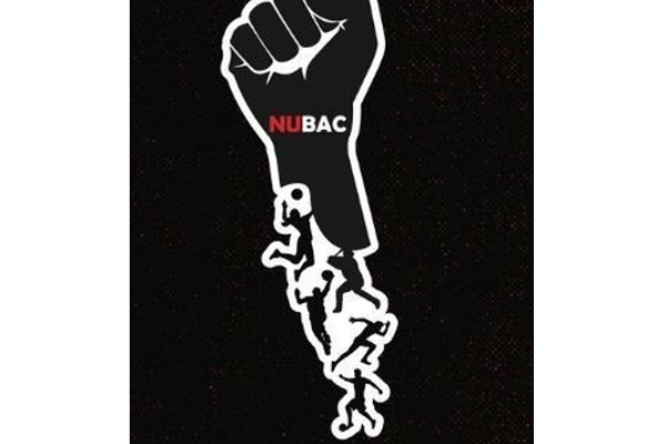Northeastern University Black Athlete Caucus Fund image number null